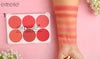 Emelie Cosmetics - Matte Blusher 6 Color Pallete