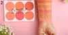 Emelie Cosmetics - Matte Blusher 6 Color Pallete