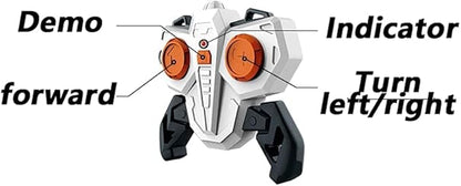 Rapid Rider Bike